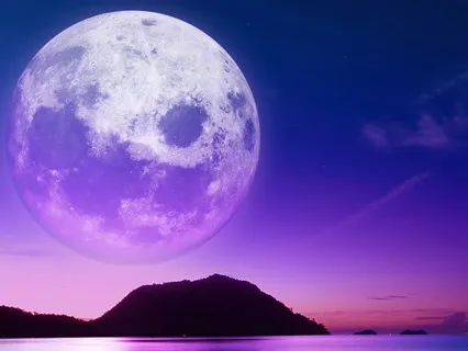 Manifest Your Dream Reality