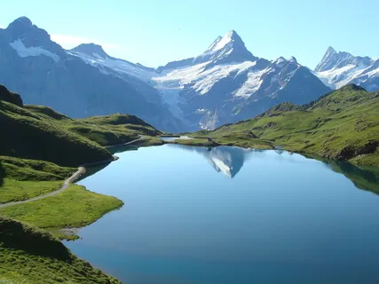 Manifest Your Dreams