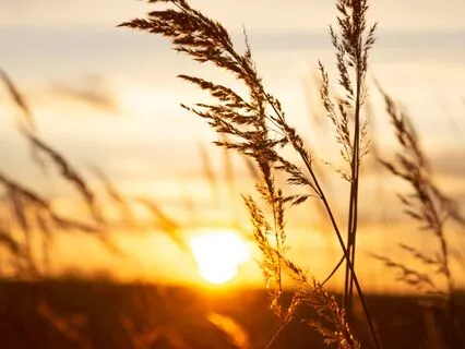 4 Minute Music | Manifest Your Dreams | Goals Visualisation