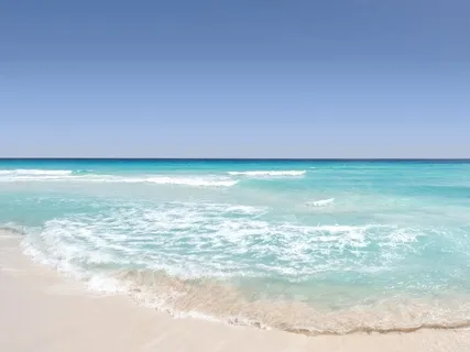 Manifest Your Dreams