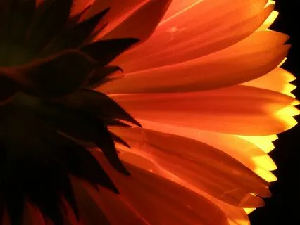 Manifest Your Femininity & Celebrate Your Cycle!