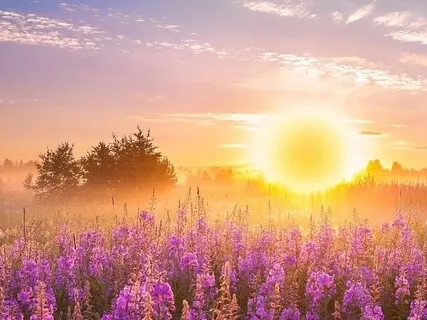 Manifest Your Highest Self Now (Shamanic Drum Journey)