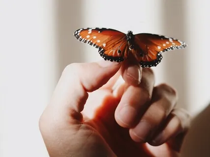 Manifest Your Partner & Improve Your Relationship