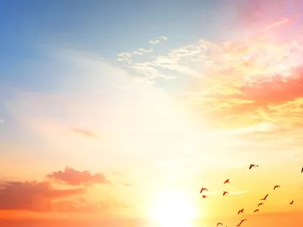 Manifest Your Soul’s Desires