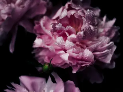 Manifest Your Soulmate Sleep Meditation With Affirmations