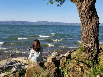 Manifest Your Soul's Desire