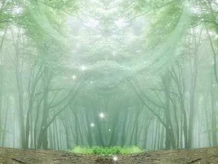 Manifest Your Vision