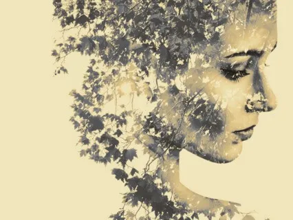 Manifestation / Power Of Creation