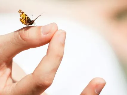 Manifestation, Energy Embodiment Play – Day 1