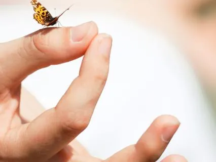 Manifestation, Energy Embodiment Play – Day 11