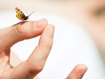 Manifestation, Energy Embodiment Play – Day 2