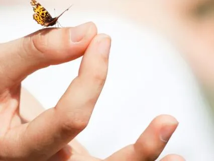 Manifestation, Energy Embodiment Play – Day 20