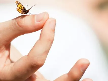 Manifestation, Energy Embodiment Play – Day 4