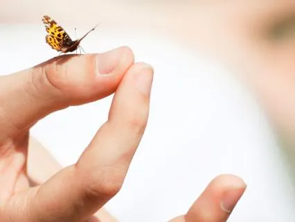 Manifestation, Energy Embodiment Play – Day 6