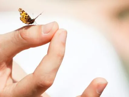 Manifestation, Energy Embodiment Play – Day 7