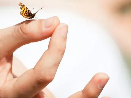 Manifestation, Energy Embodiment Play – Day 9