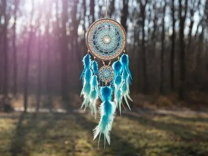 Manifestation Energy: Shamanic Dreams