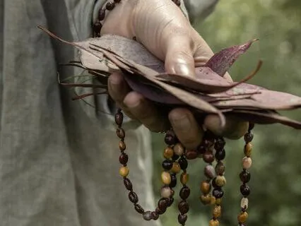 Manifestation Imagination Meditation