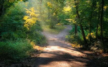 Manifestation Is Always A Now Thing