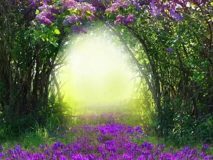 Manifestation Magnet: Align With Your Desires