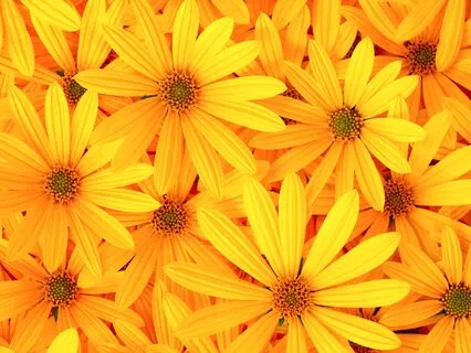 Manifestation Mastery: No. 6 The Frequency Of Abundance