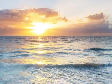 Meditation For Abundance & Manifesting