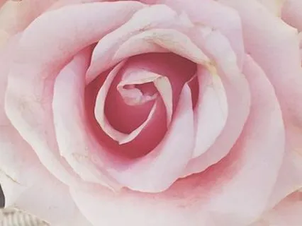 Manifestation Meditation