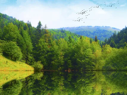 Manifestation Meditation