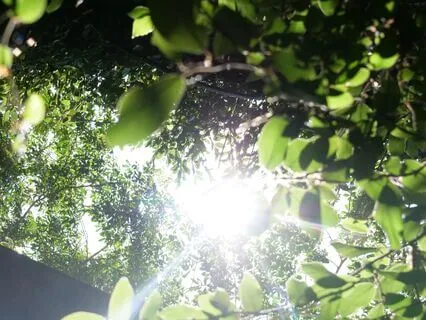 Manifestation Meditation (5 Minutes)