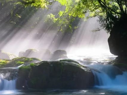 Remember That You Are The Creator Of Your Reality