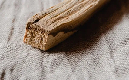 Manifestation Meditation: Relaxing Nature Walk