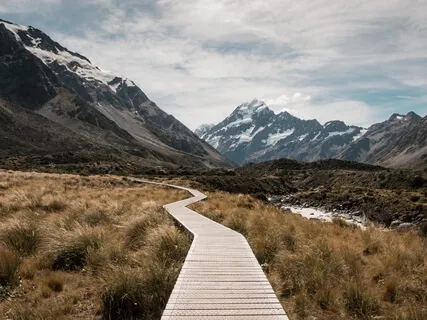 Manifestation Of A New Timeline