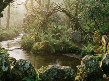 Manifestation Portal For Abundance & Alignment In 432Hz