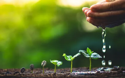 Manifestation | Receive With Ease By Releasing Attachments