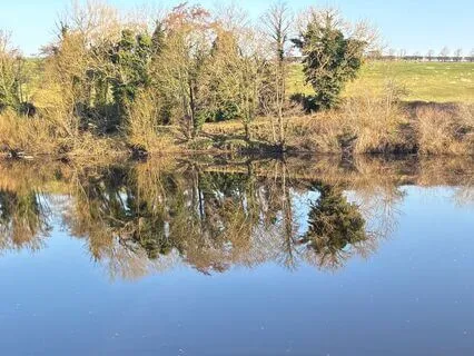 Manifestation Reset: Let Go & Attract Anew