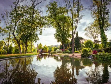 Manifestation Tranquility: Stress-Free Tunes