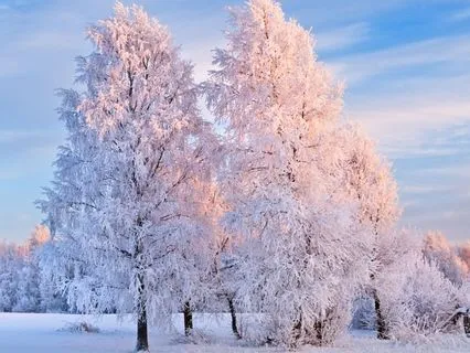 Manifestation: Uplifting Music for Positive Energy