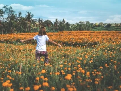  Manifesting A Beautiful Life