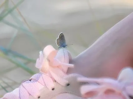 Manifesting A Beautiful Stress-Free Connection