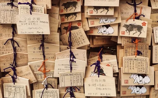 Manifesting A Positive Future