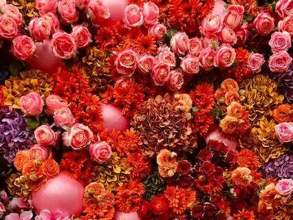 Manifesting Abundance | Affirmations For Prosperity