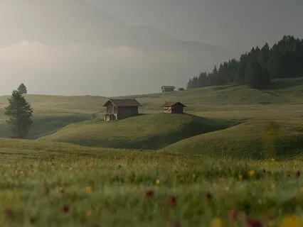 Manifesting Abundance | Insight Timer Live Recording