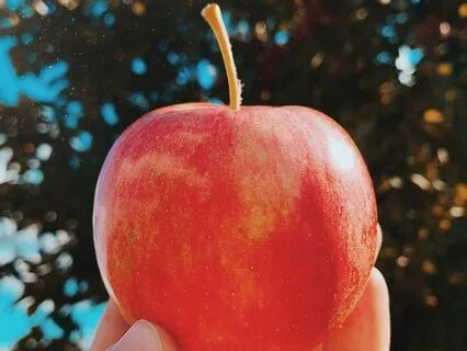 Manifesting Abundance: Journey To A Magic Garden