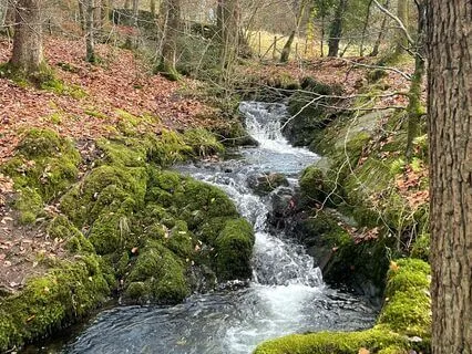 Manifesting Abundance