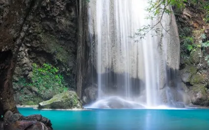 Manifesting Aligned Friendships