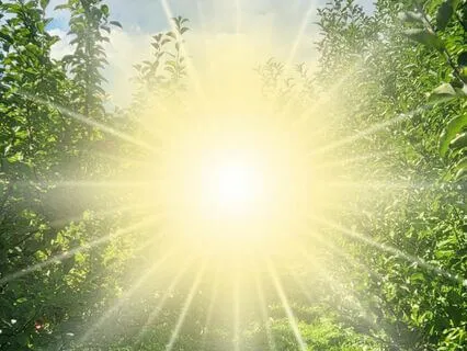 Manifesting And Receiving Abundance Guided Meditation