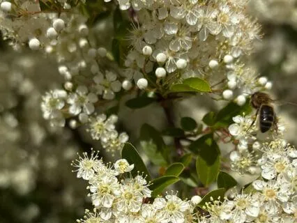 Manifesting Clarity: Call In What You Need Today