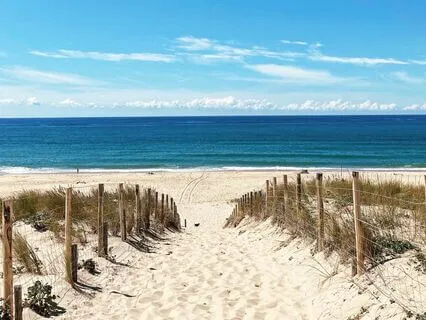 “Manifesting Desires: Aligning With My True Self"