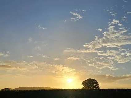 Manifesting & Divine Timing