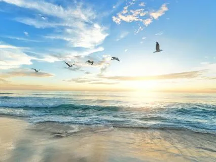 Manifesting Dreams: Law Of Attraction Brainwave Entrainment